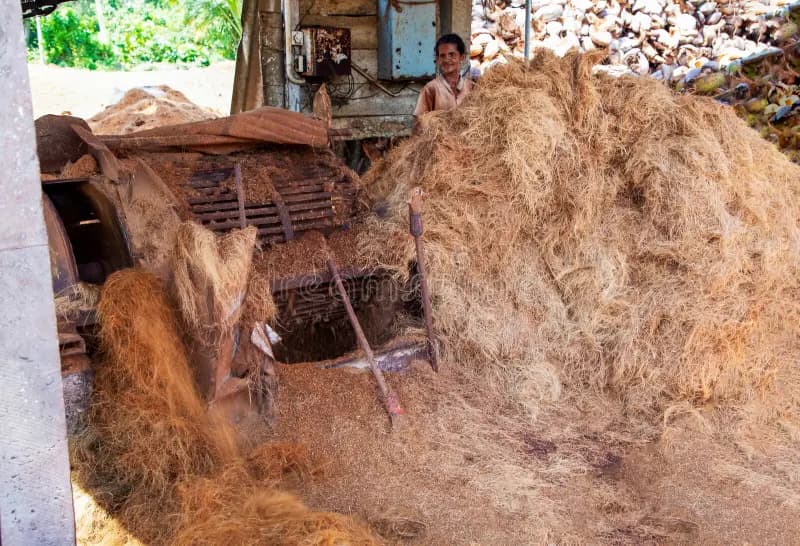India’s Coir Exports Rise 305% in 10 Years, Over 21,000 Units Registered on Udyam